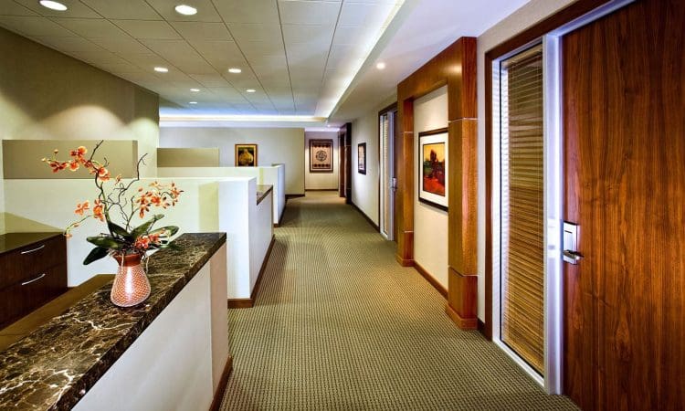 Modern office hallway with beige carpet, wooden doors, framed art on walls, and a marble counter with a vase of orange flowers in the foreground.
