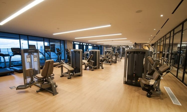 Spacious modern gym with various exercise machines, wooden flooring, large windows, and ample natural light.