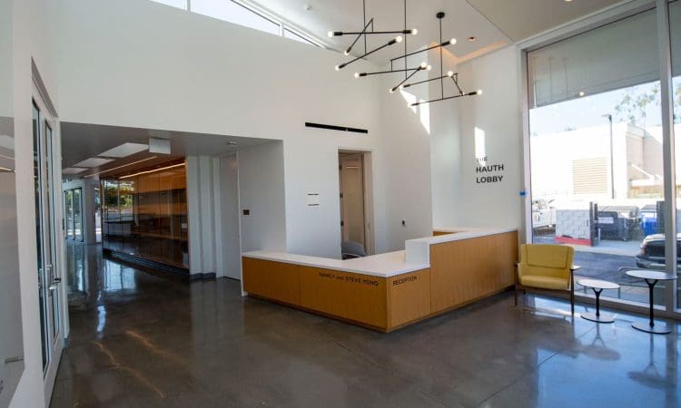 Modern lobby with a reception desk, yellow chairs, large windows, polished concrete floor, and geometric light fixtures.