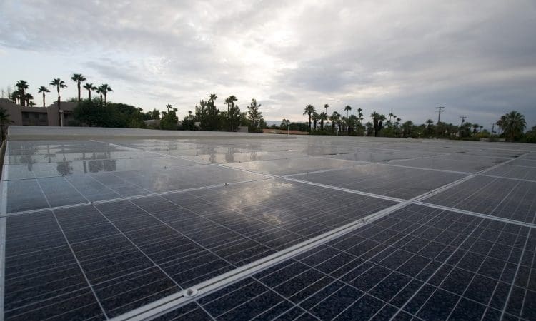 A large array of solar panels stretches across a rooftop under a cloudy sky, with palm trees and buildings visible in the background.