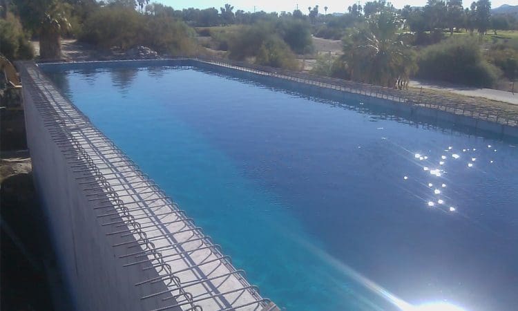 A large, rectangular outdoor swimming pool with blue water, surrounded by unfinished concrete and rebar, is set in a sunny area with palm trees and shrubs.