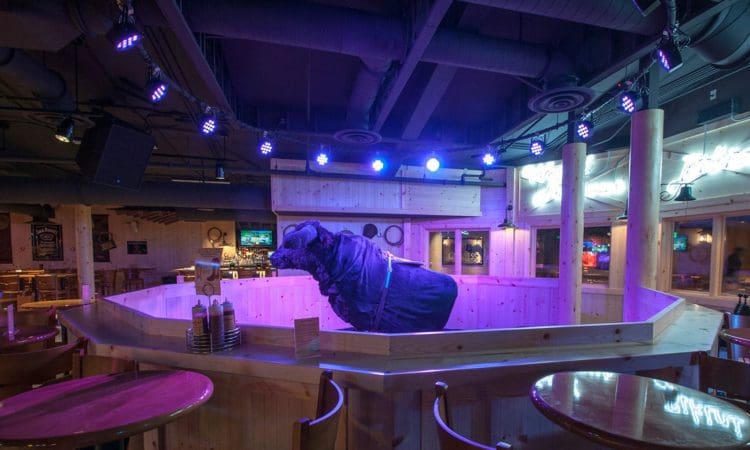 A mechanical bull sits in a wooden rodeo ring surrounded by empty tables and chairs inside a bar with purple lighting.