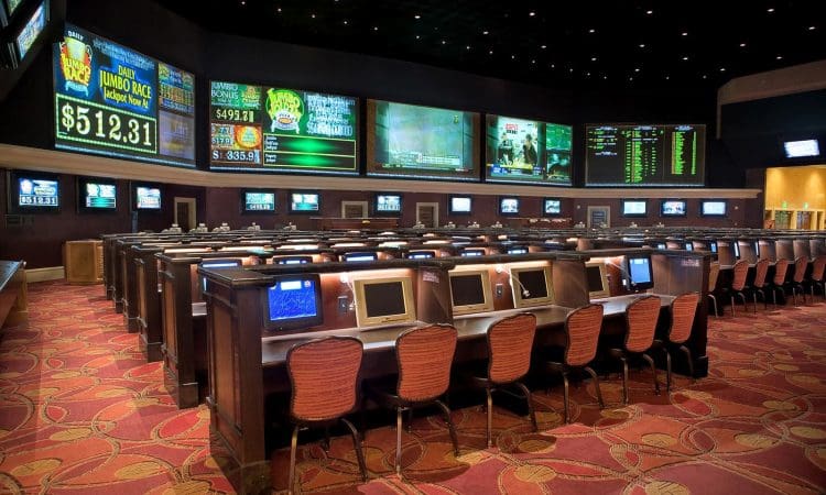Rows of computer terminals and red chairs face large digital screens displaying betting odds and results in a spacious sports betting room with patterned carpet.