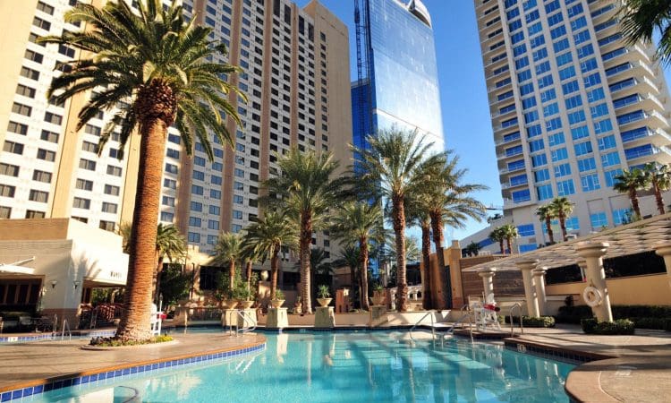 Outdoor swimming pool surrounded by palm trees and high-rise buildings under a clear blue sky.