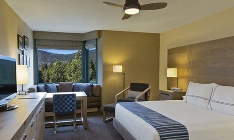 Modern hotel room with a large bed, desk, TV, armchair, sofa, and window overlooking trees and mountains. Neutral decor with blue accents.