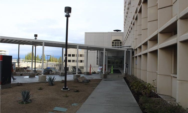 A concrete walkway with plants leads to the entrance of a modern building under a covered structure.