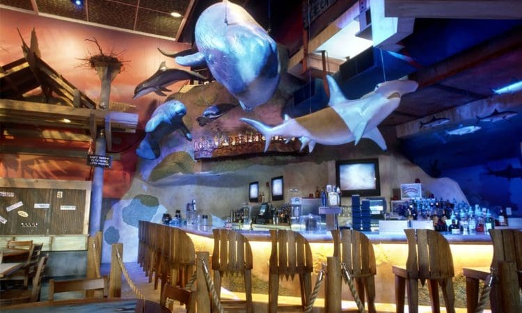 A bar with wooden chairs and marine-themed decor, featuring large hanging models of whales, dolphins, and a hammerhead shark above the counter.