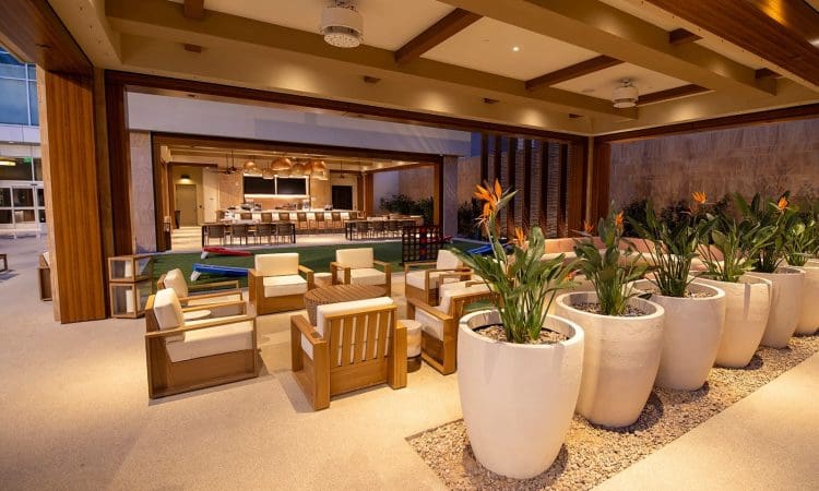Modern outdoor lounge area with wooden furniture, large white planters with plants, and a bar in the background under a wooden ceiling.