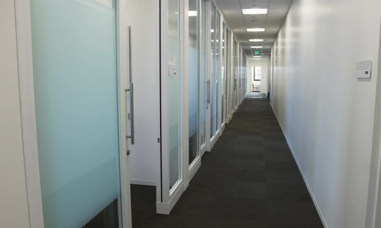 A hallway in an office building with glass-walled offices on the left, closed doors, white walls, and a dark carpet floor.