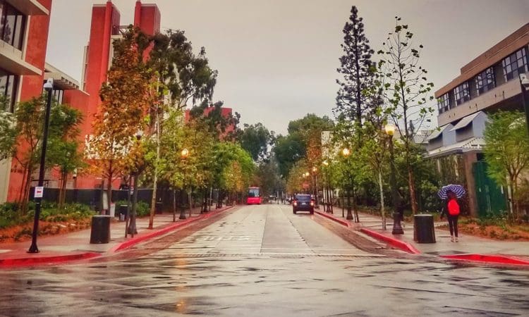 A wet street lined with trees and buildings, with a car driving and a person walking under an umbrella on a cloudy day.