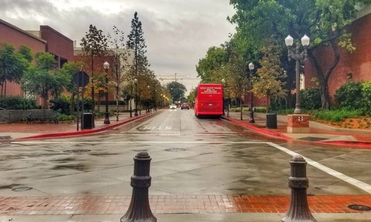 A red bus is stopped on a wet road lined with trees and brick buildings on a cloudy day. Cars are visible in the distance.