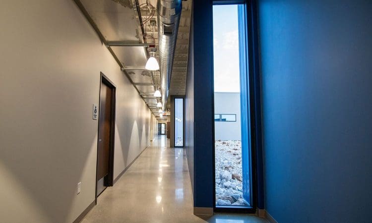 A modern hallway with polished floors, exposed ceiling ducts, blue accent walls, and narrow floor-to-ceiling windows letting in natural light.